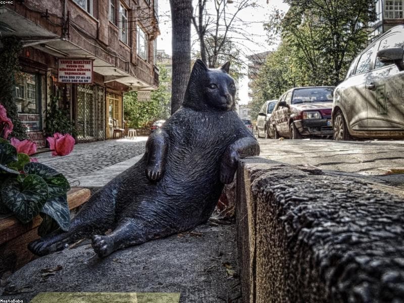 Елит Дограма ЕООД — снимка 6
