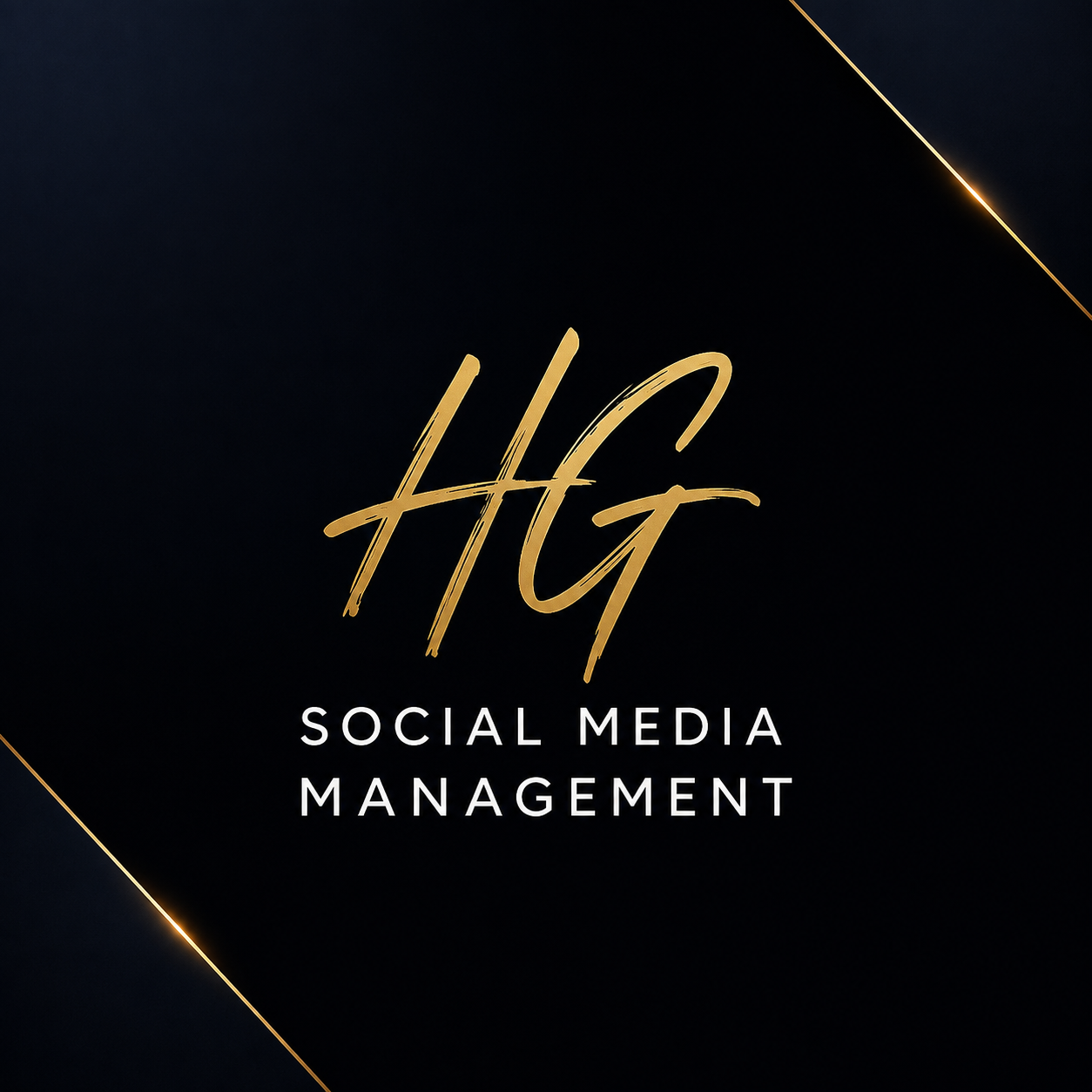 HGMediaManager